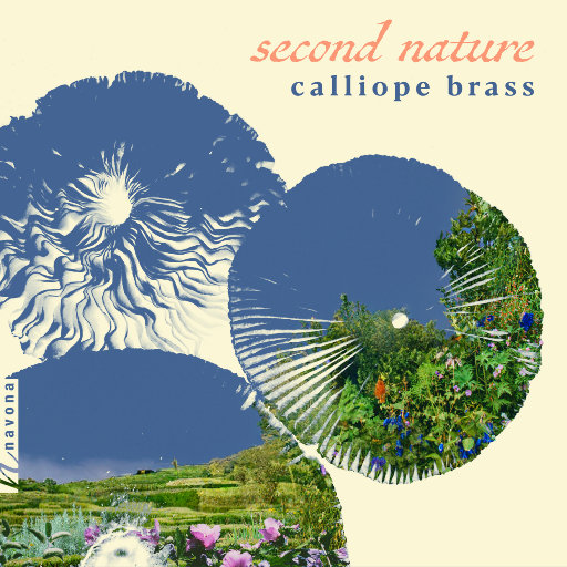 玩爽了新婚少妇
